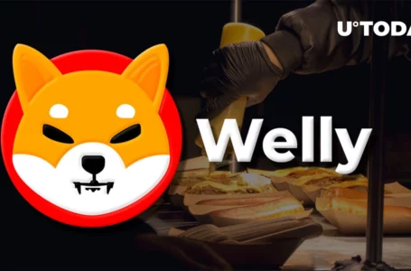 Shiba Inu’s Welly Transfers First Set of Community Rewards in ETH to Wallet