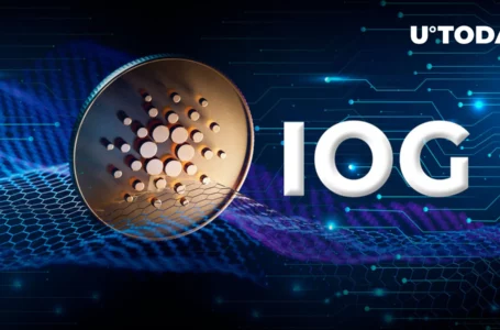 Cardano’s IOG Gives Lowdown on Vasil Hard Fork Progress