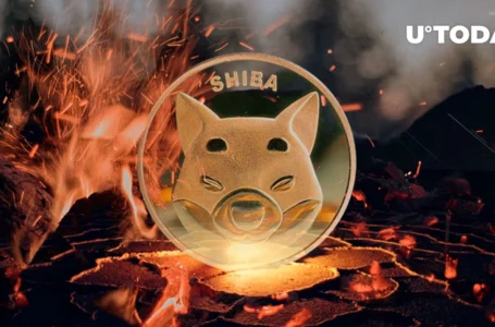Shib Army Burns 150 Million SHIB in Last Few Days: Details