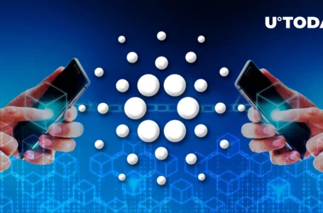 Cardano Hits New Milestone in Smart Contracts Creation: Details