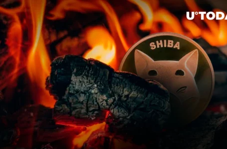 Shiba Inu (SHIB) Burn Rate Continues 200% Rally Following Crypto Card Release