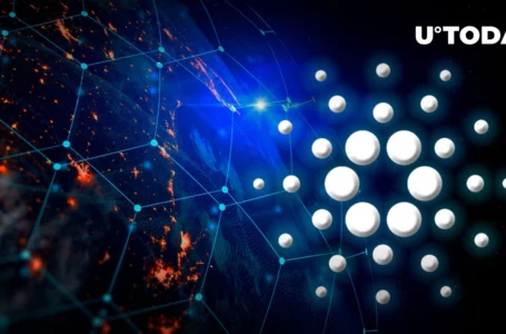 Cardano Celebrates More Than 1,000 Actively Developed Projects on Network