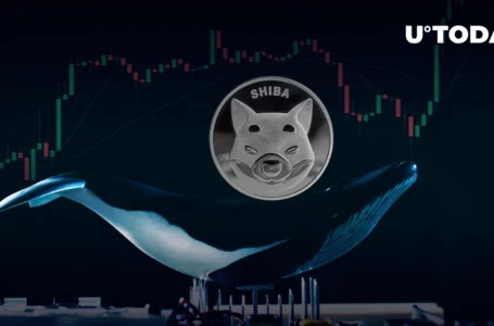 Shiba Inu Whales’ Trading Volume Spikes 639% as Price Holds Key Support