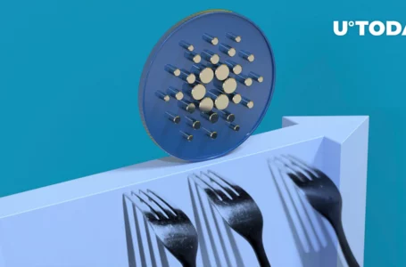 Cardano’s Vasil Hard Fork Experiencing Delays: Details