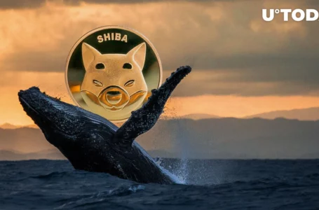 SHIB Beats MATIC, LINK, MANA as Number 1 Asset for Whales: Report