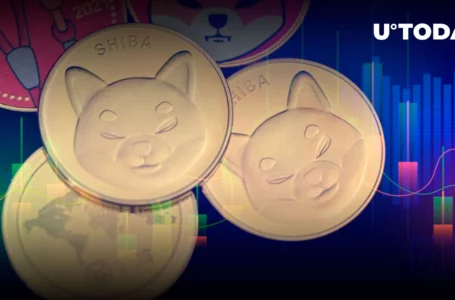 Shiba Inu: Long-Term Holders Are Increasing as Investors Shift Focus