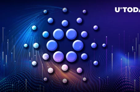 Cardano Is Now Compatible With This Platform Used in 2500 Games: Details