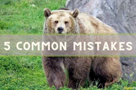 5 Common Mistakes to Avoid During a Crypto Bear Market