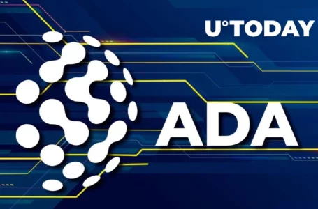 ADA Can Now Be Purchased via Bank Card on Biggest Cardano NFT Marketplace