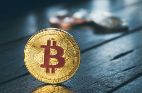 Bitcoin is the Amazon of the Crypto Era, Says Former BlackRock Exec