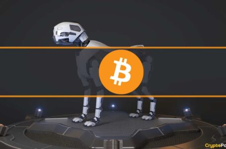 This Desperate Man Plans Build Robot Dogs to Find a Hard Drive With $169M Worth of BTC (Report)
