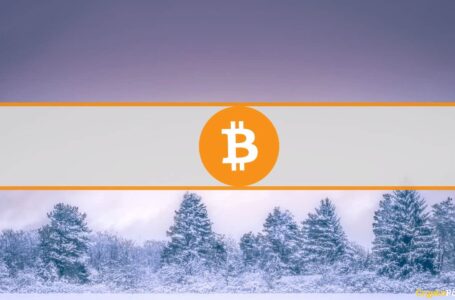 Full Impact of Crypto Bear Market Not Yet In, No Catalysts for Reversal in Sight: CoinShares CSO