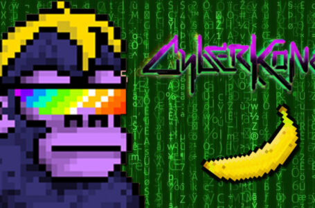 CyberKongz NFT Collection Review: All You Need To Know