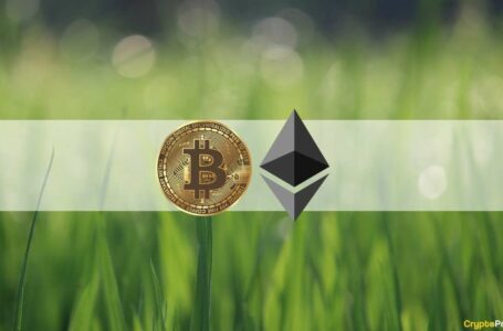 Bitcoin Maintains $20K, Ethereum Soared to 9-Day High (Market Watch)