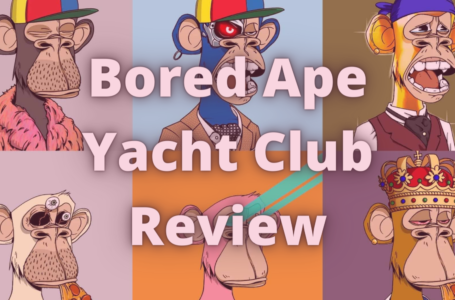 Bored Ape Yacht Club NFT Review: Everything You Need To Know