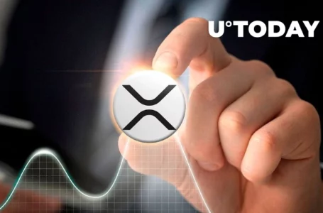 XRP Rapid Trading Volume Surge May Result in Unusual Price Action