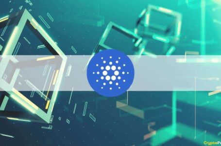 Ledger Adds Support for 100 Cardano Native Tokens