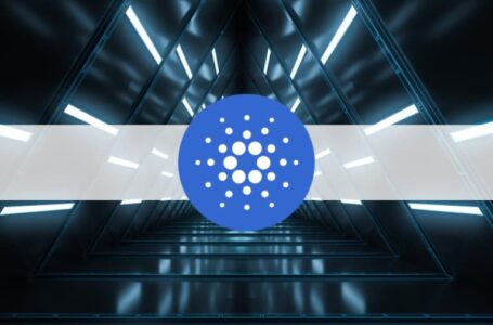 Cardano Successfully Launches Vasil Upgrade on Testnet