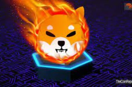 Shiba Inu Burned Coins Exceed Market Cap of MATIC with $4 Billion Worth of Tokens Destroyed