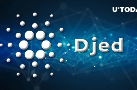 Cardano Network Expands Further with Djed Becoming Official Stablecoin of IOHK’s RealFi Start-Up