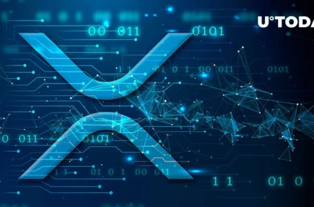 XRP Network Just Had Largest Amount of Unique Addresses Interacting on It in 2.5 Years
