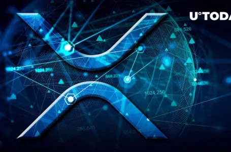 165 Million XRP Again Transferred Around Several Exchanges and Unknown Wallets in Matter of Minutes