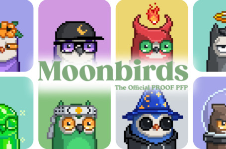 Moonbirds NFT Review: Everything You Need To Know