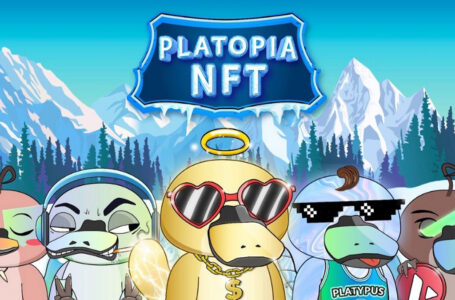 Platypus Finance (PTP) Review: A One-Sided AMM (Decentralized Exchange)
