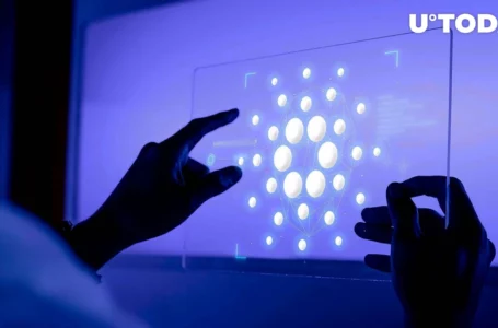 Cardano (ADA) Is Priced “More Aggressively,” Report Shows