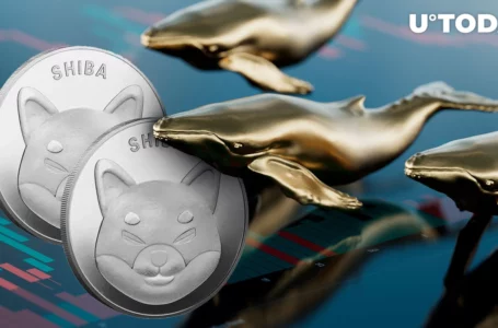 Here’s What’s Driving Whales to Buy More SHIB