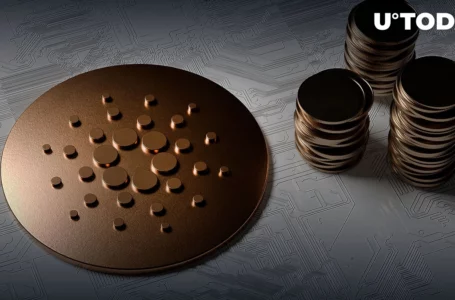 BTC Maxi Mike Alfred Reveals 10 Million ADA Holdings Bought in 2018