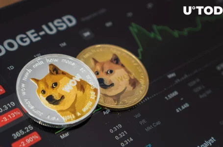 This DOGE Index Shows Possible Buying Opportunity