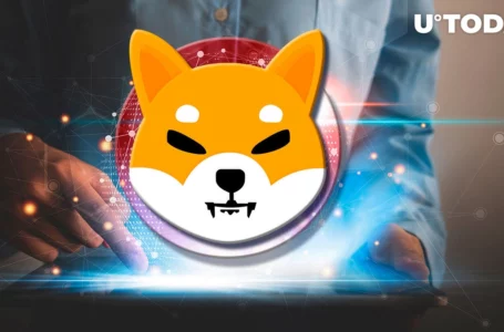 Shiba Inu Trading Volumes Add 114% in Day as Millions Enter Market Cap