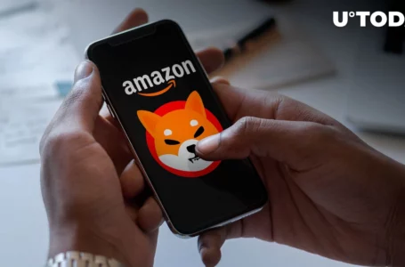 Amazon Has “Had Serious Impact” on Burning SHIB on This Platform in August: Details