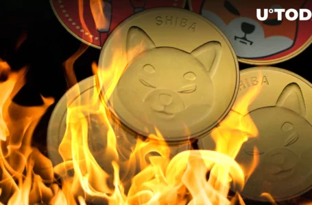 300 Million SHIB Burned by This New Burner, 276 Million SHIB Gone in 24 Hours