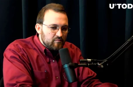 Cardano Founder Speaks on Cause of Crypto Market Crash; ADA Down 8%