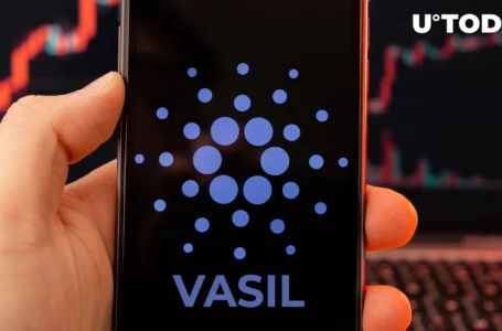 Cardano Users Can Now Track Vasil’s Progress in Real Time on This Newly Launched Platform: Details