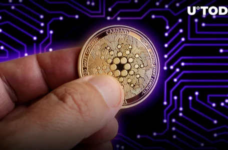 Here’s Why Cardano’s Decentralization Networking Update Is Most Important Part of Vasil