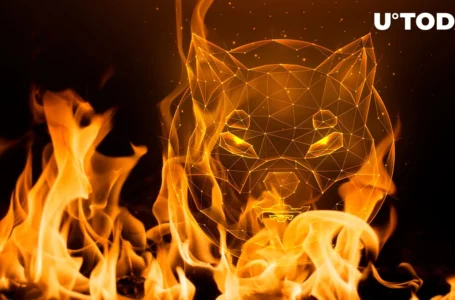 Shiba Inu Records Over 1.2 Million SHIB Burned in 7 Days, 100% Spike From Last Week’s Rate