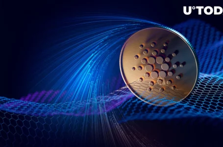 Here’s How Cardano’s Peer-to-peer Networking Aids Blockchain: Details