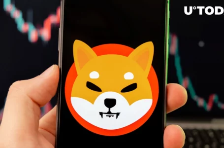 Shiba Inu Slips in Rankings After Sell-Off
