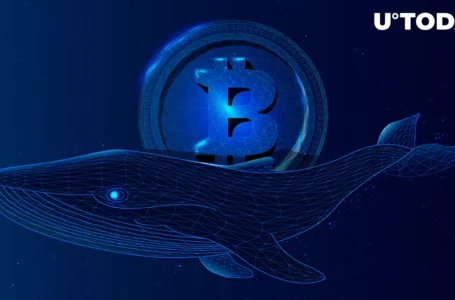 Ancient Bitcoin Whales Are Awakening, What’s Happening?