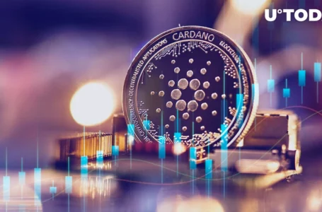 Here’s Who Is Buying Cardano, Dogecoin Drawdown as Market Declines Continue