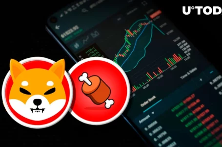 Shiba Inu’s BONE Surges 130% in 2 Days with These Events