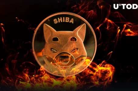Shiba Inu Burn Rate Jumps 300%, With Nearly 2 Billion SHIB Burned in Past Week