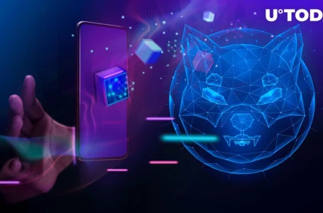 SHIB Metaverse Crucial Upgrade Finally Revealed