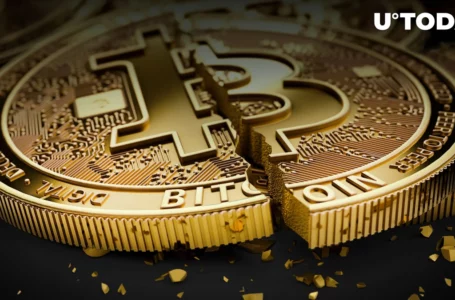 Wall Street Vet Explains Why He’s Bearish on Bitcoin