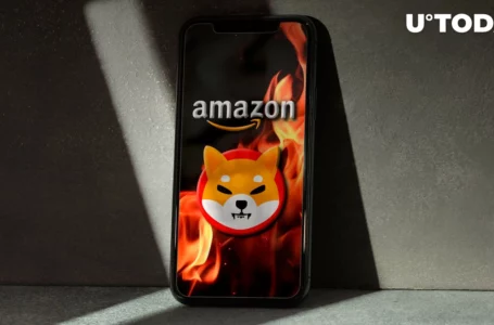 Burning Billions of SHIB Daily Definitely Possible with Amazon, Here’s How: SHIB Burner