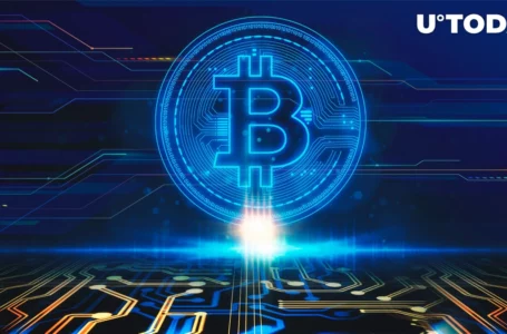 Bitcoin Scores Its Best Month of 2022; Is Crypto Winter Over?