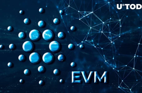 Cardano’s EVM Sidechain Records 7.5 Million Transactions After Launch